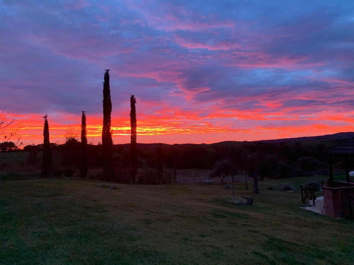 Bio Agriturismo La Bell'Antiglia Villa Montemerano Bagian luar foto